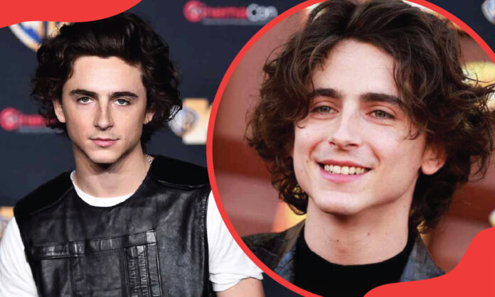 timothy shalloway movies